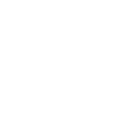 logo les Echos Le Parisien